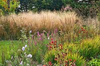 Country garden with borders of grasses and perennials 