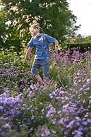 Boy jumps on the trampoline which is hidden in a border of Verbena bonariensis and asters 
