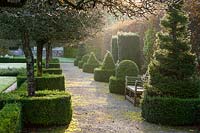 Line of topiary shapes either side of a path in autumn morning light
