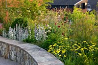 Low limestone wall and a border of Stachys byzantina 'Silver Carpet', Alliums, Fennel and  Achillea 'Moonshine'