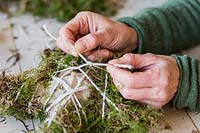 Close up detail of tying off string on moss covered star