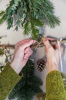 Hanging a fir cone on branch