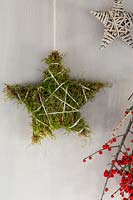 Hanging moss star 