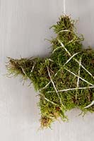 Hanging moss star