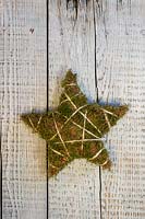 Moss star on rustic wooden surface