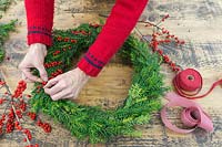 Attaching red berries to festive wreath - Ilex verticillata