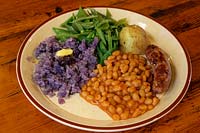Mashed Solanum tuberosum 'Salad Blue' Potato with runner beans, baked beans and Sausage