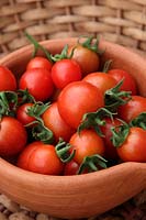 Tomato - Solanum lycopersicum 'Tumbler' in clay bowl