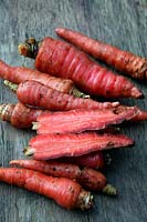 Home grown garden carrots - Daucus carota 'Atomic Red'