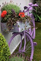 Lavender bicycle with pannier of flowers  RHS Chelsea flower show 2013