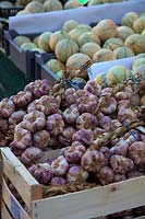 Loches Market, Central France - Garlic