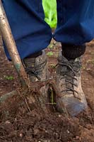 Man digging with garden fork in garden and wearing leather safety work boots