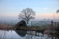 A frosty January early morning on the Grand Western Canal, Burlescombe, Devon