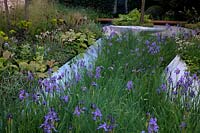 RHS Chelsea Flower Show 2014 - RBC Waterscape Garden Â- Embrace the Rain. Designer Hugo Bugg. Show Garden showing Iris robusta 'Geral Darby' and Lysimachia atropurpurea 'Beaujolais'