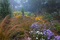 Naturalistic planting in Holbrook Garden, Devon, during September with Aster laevis, Molinia caerulea subsp. caerulea 'Moorflamme', Coreopsis 'Full Moon' and Rudbeckia hirta 'Indian Summer'