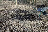 A domestic 4 m square reed bed fed by effluent from a septic tank. After 25 years of use the only maintenance is yearly removal of some humus - 3 or 4 wheelbarrow loads from the reed bed to prevent ground level rising and impeding effluent flow through the bed