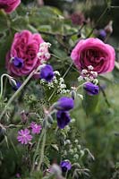 Rosa GERTRUDE JEKYLL 'Ausbord'  - PBR -   - S -  AGM, Geranium 'Orion' and Silene dioica - red campion with early morning dew