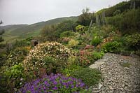 The garden in June at Foamlea, Mortehoe, Devon with Echium pininana AGM