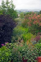 The view from Prospect House Garden, Axminster