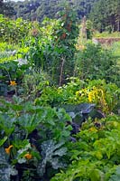 Peter Buckley Learning Area - Growing vegetables RHS Rosemoor, UK