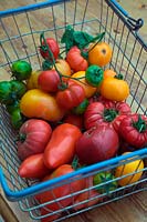 Solanum lycopersicum - Heritage tomatoes showing Jersey Devil  - long pointed -  , Big Rainbow - beefsteak orange and red , Green Agate - smaller green