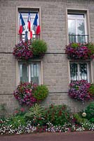 Amenity plantings Sourdeval, near Vire, Normandy, France - Hotel de Ville decorated with exuberant plantings with Petunia, Ipomoea, Bidens Pirates Pearl
