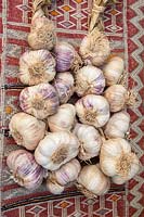 Fresh plaits of garlic on a kilim covered table