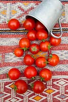 Cherry tomatoes spilling out of an old tin jug