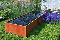 Contemporary garden design with rusted corten steel water trough surrounded by Buxus box hedge, Verbena bonariensis, Agapanthus