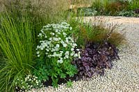 A small summer garden border planted with Astrantia 'Shaggy', Deschampsia, Heuchera 'Palace Purple', Erigeron karvinskianus