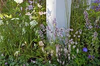 Pale pink and white perennial planting combination surrounding a pillar in a contemporary garden