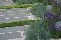 Contemporary grey stone and white gravel garden path bordered with Thyme, Festuca grass and Lavender