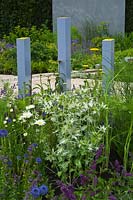 Contemporary garden - The Scotty's Little Soldiers Garden. Designer: Graeme Thirde. RHS Hampton Court Palace Flower Show
