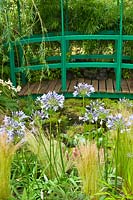 A small garden in the style of Monet's garden at Giverny with pond, bridge and Agapanthus. RHS Hampton Court Flower Show.