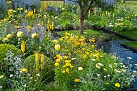 A rill of water and colourful planting of yellow and blue perennials. Magna Carta 800 Garden, Hampton Court Flower Show