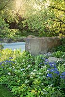 Woodland planting and rough stone wall in The M and G Garden, RHS Chelsea Flower Show 2016. Designer Cleve West. Gold Medal Winner.
