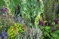 Planting combination in Support, The Husqvarna Garden. Designer: Charlie Albone. RHS Chelsea Flower Show