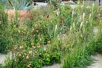 Planting in The Winton Beauty of Mathematics Garden, RHS Chelsea Flower Show 2016. Designer Nick Bailey.