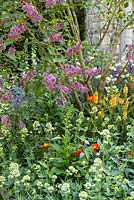 Meningitis Now Futures Garden at the RHS Chelsea Flower Show 2016. Designer: John Everiss. Mandatory credit: © Rob Whitworth