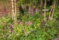 The Hartley Botanic Garden at the RHS Chelsea Flower Show 2016. Designer: Catherine MacDonald. Sponsor: Hartley Botanic.
