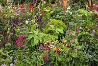 Colourful planting in The Harrods British Eccentrics Garden, RHS Chelsea Flower Show 2016. Designer Diarmuid Gavin.