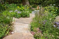 Stone and gravel path leading through woodland planting. The M and G Garden, RHS Chelsea Flower Show 2016. Designer Cleve West.
