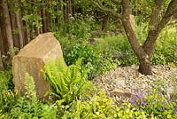 Woodland planting, Quercus pubescens and sandstone boulder in The M and G Garden, RHS Chelsea Flower Show 2016. Designer Cleve West.