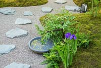 Japanese style garden with moss, stones, gravel, water, tree and Iris. The Japanese Summer Garden, RHS Hampton Court Flower Show