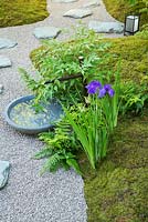 Japanese style garden with moss, stones, gravel, water, tree and Iris. The Japanese Summer Garden, RHS Hampton Court Flower Show