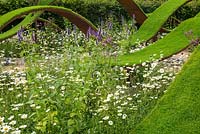 Undulating waves of artificial turf, underplanted with Leucanthemum vulgare - Ox-Eye Daisy. RHS Hampton Court Flower Show