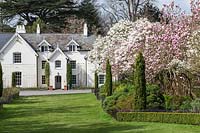 Magnolia Avenue in front of Jermyn's House at the Sir Harold Hillier Gardens, Hampshire, UK