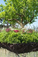 The Elements of Life garden at the RHS Hampton Court Flower Show 2017. Designer: Bill Wilder. Sponsors: SRUK ( Scleroderma and Raynaud's UK ), Eskilstuna 