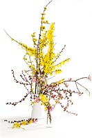 Spring bloosom branches in vase