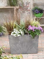 Carex mix in plant container